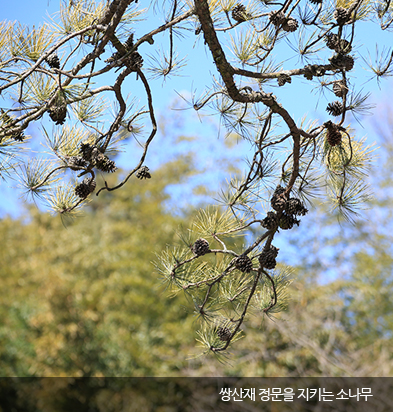 옛 모습 그대로의 장독대