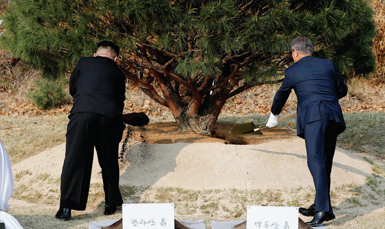 4월 27일 문재인 대통령과 김정은 국무위원장이 남측 군사분계선 인근 ‘소떼 길’에 소나무를 함께 심고 있다.