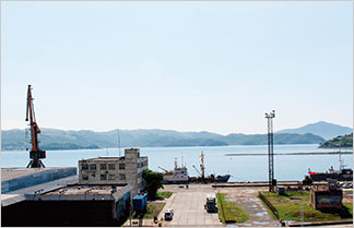 르포
